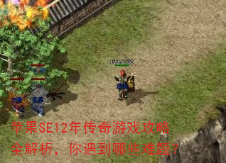ƻ��SE12�괫����Ϸ����ȫ��������������Щ���⣿