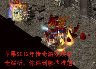 ƻ��SE12�괫����Ϸ����ȫ��������������Щ���⣿