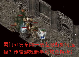 ����sf������һ�����������ѡ�񣿴�����Ϸ���ֹ���ȫ������