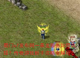 ����sf������һ�����������ѡ�񣿴�����Ϸ���ֹ���ȫ������