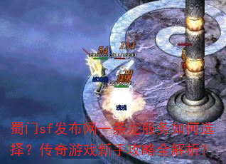 ����sf������һ�����������ѡ�񣿴�����Ϸ���ֹ���ȫ������