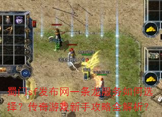 ����sf������һ�����������ѡ�񣿴�����Ϸ���ֹ���ȫ������
