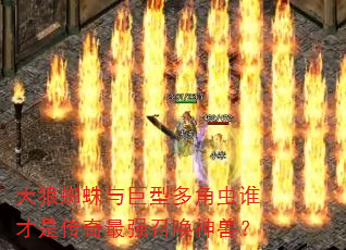����֩������Ͷ�ǳ�˭���Ǵ�����ǿ�ٻ����ޣ�