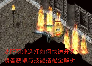 ����ְҵѡ����ο���������װ����ȡ�뼼�ܴ���ȫ����