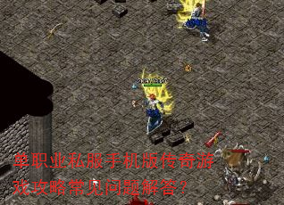 ��ְҵ˽���ֻ��洫����Ϸ���Գ���������