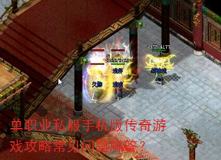 ��ְҵ˽���ֻ��洫����Ϸ���Գ���������