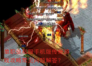 ��ְҵ˽���ֻ��洫����Ϸ���Գ���������